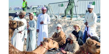 «كأس فزاع للعرضة» تستقطب مشاركة خليجية واسعة - وكالة Mea News