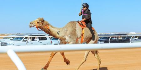 سيطرة سعودية على أشواط سباق الهجانة للرجال والسيدات