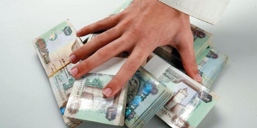 المصروفات الحكومية 20% من ناتج الإمارات - وكالة Mea News