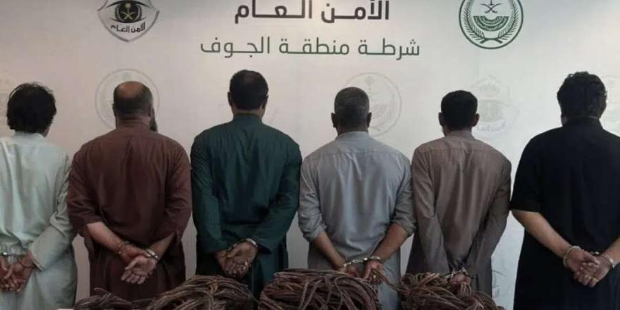 القبض على تشيكل عصابي من 6 أشخاص لسرقتهم كيابل نحاسية وسكراب - وكالة Mea News