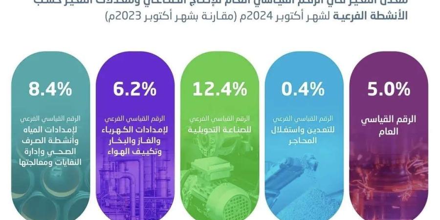 ارتفاع مؤشر الرقم القياسي للإنتاج الصناعي في شهر أكتوبر بـ5% - وكالة Mea News