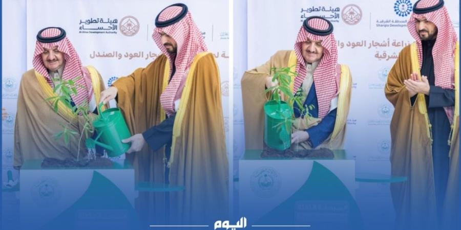 غرس أول شتلة “صندل” بالمنطقة الشرقية ضمن مبادرة السعودية الخضراء - وكالة Mea News