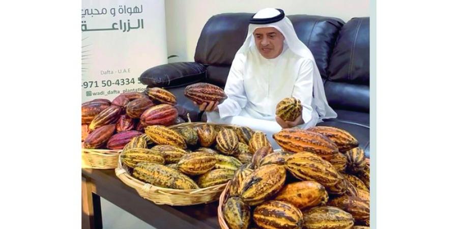 مزرعة الكاكاو في الفجيرة.. تعكس قدرة المزارع الإماراتي على الابتكار - وكالة Mea News