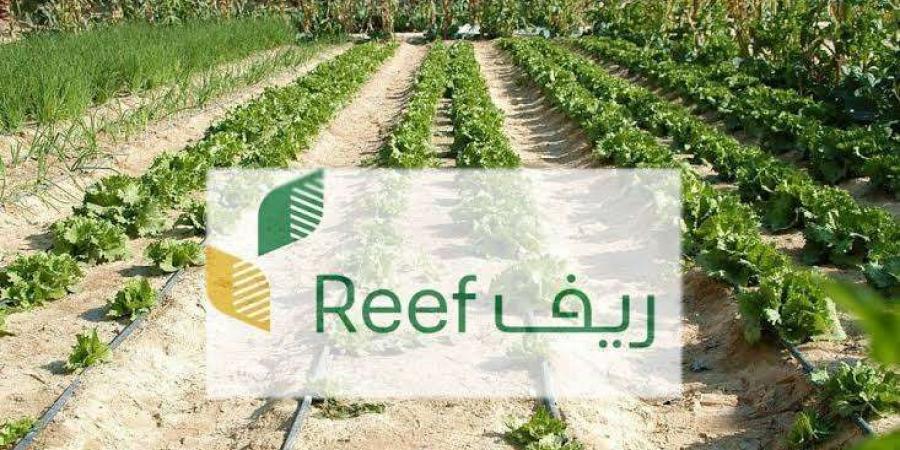 إنجاز سعودي: برنامج “ريف” يدخل موسوعة غينيس بأكبر ورشة عمل في التنمية الريفية - وكالة Mea News