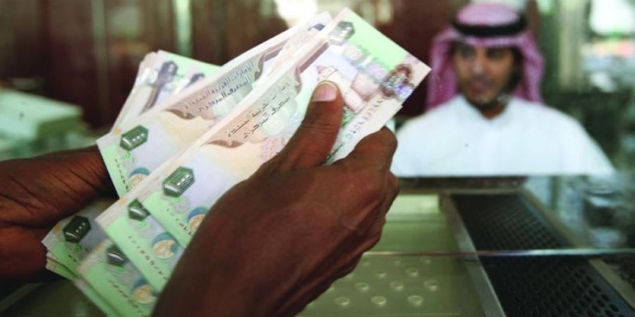 «التمويل الإسلامي» في الإمارات يستحوذ على 22% من ائتمان القطاع المصرفي - وكالة Mea News