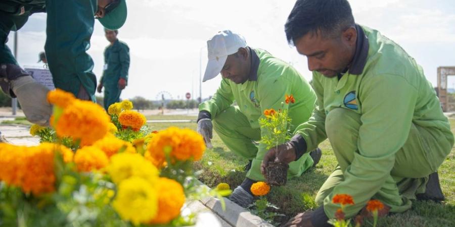 برزاعة 300 موقع.. أمانة الطائف تعزز جهود تحسين المشهد الحضري - وكالة Mea News