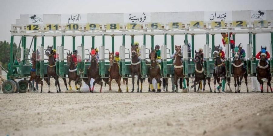 31 جواداً من ميدان الدمام يتأهبون للتأهل للمشاركة في أشواط أبطال الميادين  - وكالة Mea News