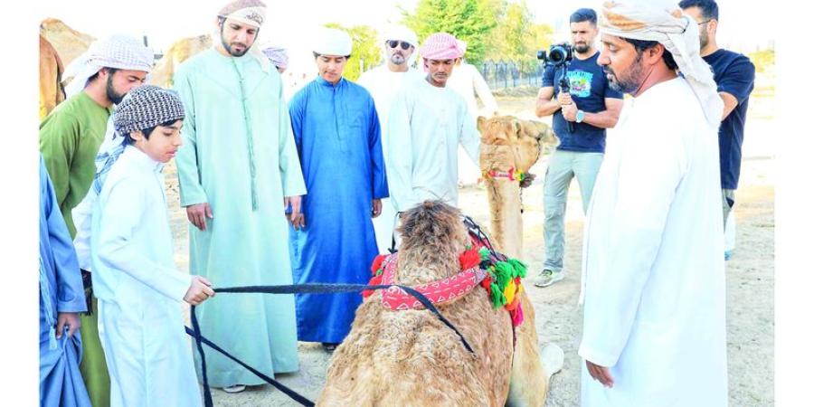 «عزبة البوش» تجربة حية للتعريف بالموروث الشعبي وطريقة حياة الأجداد - وكالة Mea News