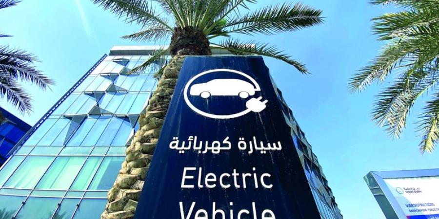 «دوبيزل»: 7000 إعلان لسوق السيارات الكهربائية في 2024 - وكالة Mea News