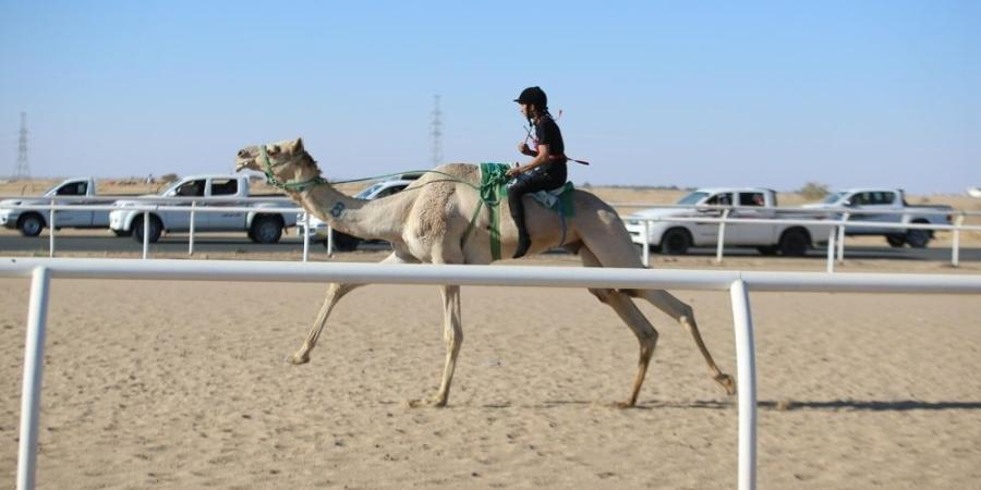 سعودي وقطري وإماراتي يتنافسون على “سيف السعودية”