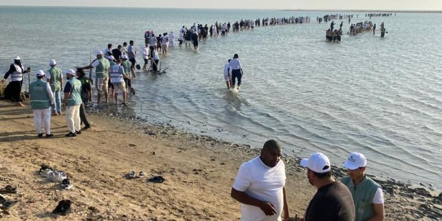 صور| احتفاء منظمات بيئية غير ربحية باليوم العالمي للأراضي الرطبة