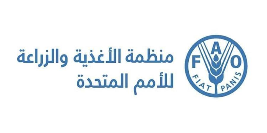 ” فاو “: انخفاض مؤشر أسعار الغذاء خلال يناير - وكالة Mea News