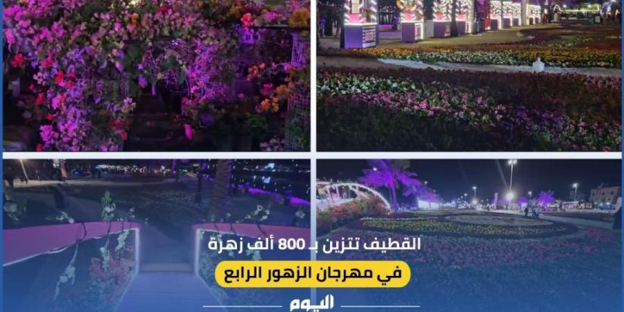 فيديو| القطيف تتزين بـ 800 ألف زهرة في “مهرجان الزهور” الرابع