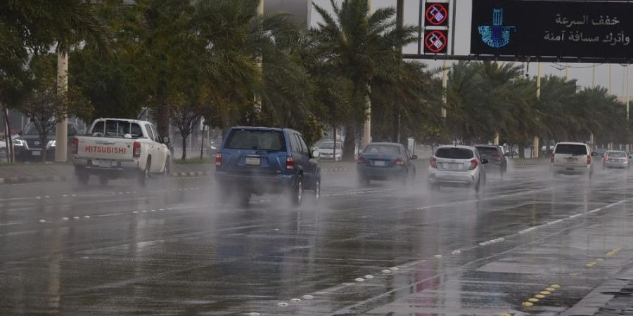 بينها الدمام.. هطول أمطار خفيفة إلى متوسطة على أجزاء من الشرقية